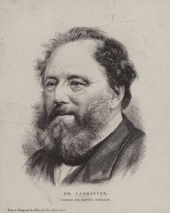Edwin Lankester, angol sebész és természettudós, valamint a Central Middlesex állam halottkém alkotó: English School