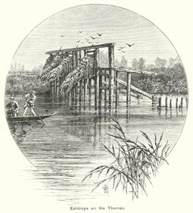 Angolnacsapdák a Temzén (metszet) alkotó: English School