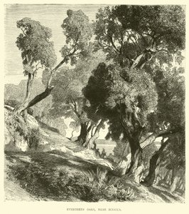 Evergreen Oaks, Sciacca közelében alkotó: English School