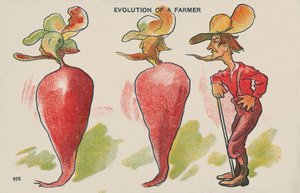 Entwicklung eines Bauern