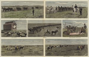 Gazdálkodás Észak-Amerika síkságain