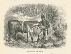 Fed Between the Bursts (vésés) alkotó: English School