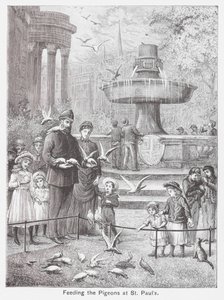 A galambok etetése a Szent Pál templomban (metszet) alkotó: English School