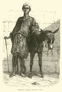 Fellah, arab; szamárfiú alkotó: English School