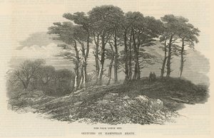Először az északi vég közelében, Hampstead Heath alkotó: English School