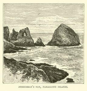 Fishermans Bay, Farallon-szigetek alkotó: English School