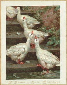 Öt liba áll a lépcsőn, karácsonyi üdvözlőlap alkotó: English School