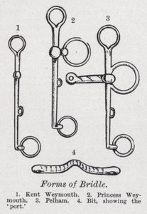 A kantár formái (litho) alkotó: English School