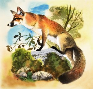 Fox alkotó: English School