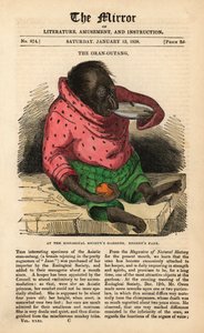 A The Mirror címlapja 1838. január 13-tól, egy orángután érkezését ünnepelve a londoni Regent