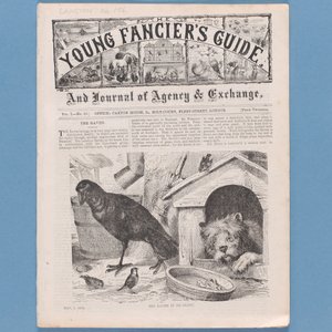 Frontispiece a The Young Fanciers Guide-ból, 1874 (lásd még: 315145) alkotó: English School