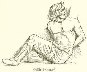 gall fogoly alkotó: English School