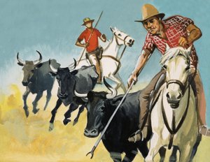 A camargue-i gardiánok alkotó: English School