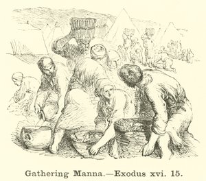 Manna összegyűjtése, Exodus, xvi, 15 alkotó: English School