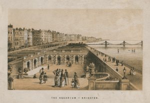 Az akvárium általános képe Brightonban alkotó: English School