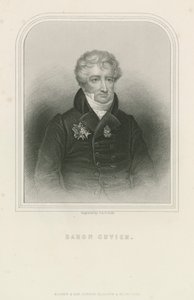 Georges Cuvier francia természettudós és zoológus (metszet) alkotó: English School