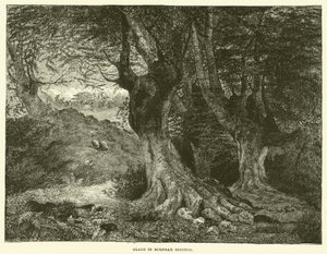 Glade in Burnham Beeches (metszet) alkotó: English School