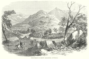 Mount Alexander aranymezői, Ausztrália (metszet) alkotó: English School