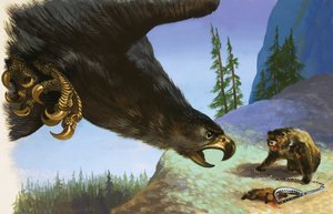 A Golden Eagle medvét támad a csapdában lévő állatra alkotó: English School