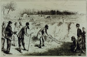 Golf alkotó: English School