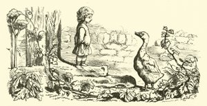 ludas, ludas gúny alkotó: English School