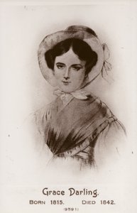 Grace Drágám alkotó: English School