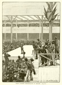 Nagy Unionista demonstráció Belfastban, 1890 alkotó: English School