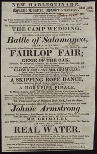 Grimaldi a Vízi Színházban alkotó: English School