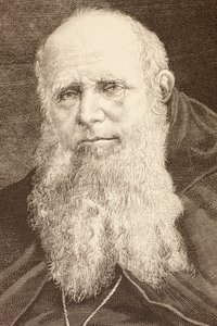 Guglielmo Massaia (litho) alkotó: English School