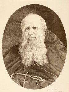 Guglielmo Massaia (litho) alkotó: English School