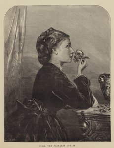 HRH Louise hercegnő (metszet) alkotó: English School