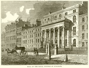 A Royal College of Surgeons terme alkotó: English School
