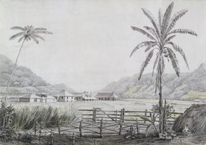 Halse Hall, Jamaica, 1780 körül (wc és grafit papíron) alkotó: English School