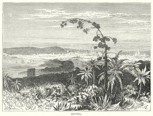 Havanna (metszet) alkotó: English School