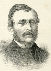 Henry Brittan Willis (1810-84) a The Illustrated London Newsból, 1884. február alkotó: English School