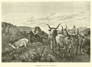 Pásztor a Campagna-ban alkotó: English School