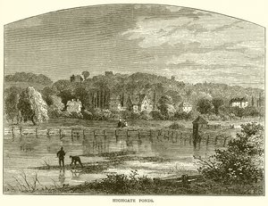 Highgate tavak alkotó: English School