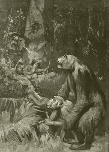 A gorilla otthona (metszet) alkotó: English School