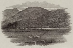 Hong-Kong Races, Verseny a Plenipo Kupáért (metszet) alkotó: English School