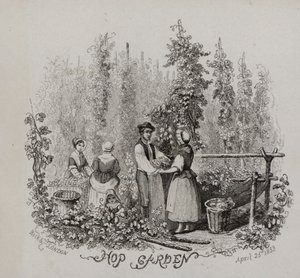 Komlókert (metszet) alkotó: English School
