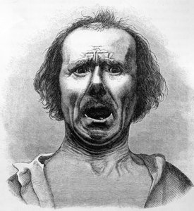 Horror and Agony, Dr. Duchenne fényképéről másolva, illusztráció Charles Darwin „Az érzelmek kifejezése az emberben és az állatokban” című művéből, 1872-ben megjelent alkotó: English School