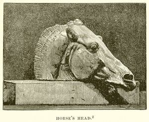 Pferdekopf von English School