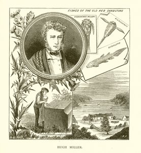 Hugh Miller alkotó: English School