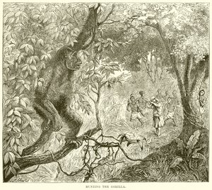 Vadászat a gorillára alkotó: English School
