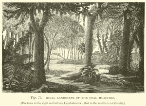 A szénmércék ideális tája alkotó: English School