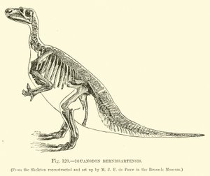 Iguanodon Bernissartensis alkotó: English School