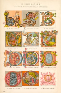 Világító alkotó: English School