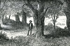 Illusztráció a „Lady Geraldine udvarlásából” (metszet) alkotó: English School