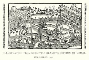 Illusztráció Sebastian Brandt 1502-ben megjelent Vergilius-kiadásából (litho) alkotó: English School