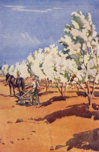 In einem kanadischen Obstgarten